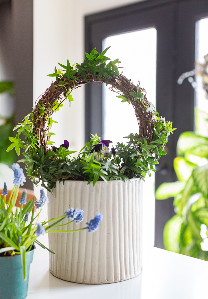 Spring ivy topiary DIY