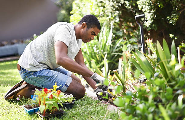 Gardening Hacks: 5 Minute Crafts Garden Hacks, Tricks & Easy Ways